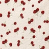 Florence cherry 1.1