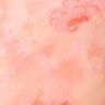Florence peach 1.1