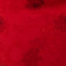Cannes red 1.1